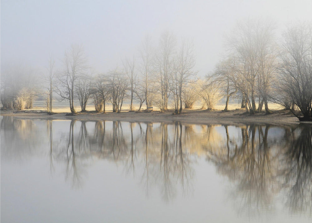 Artwork january morning48X36inches- Unframed