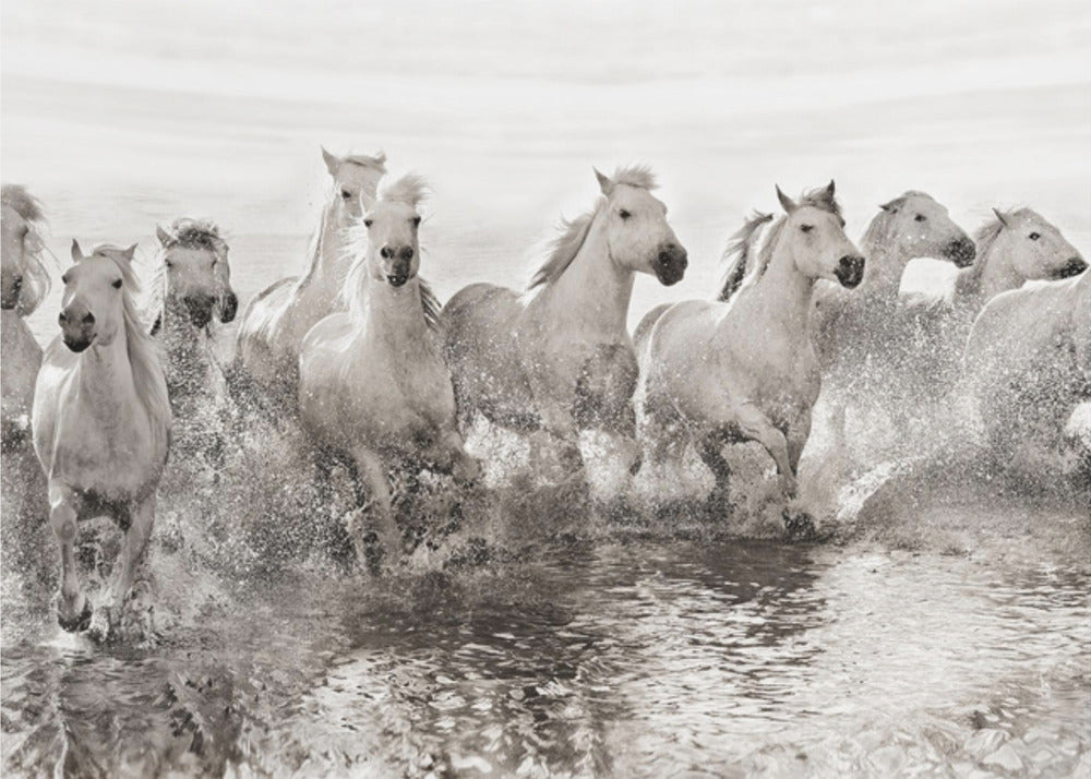 Artwork Illusion of power (13 horse power though)48X36inches- Unframed