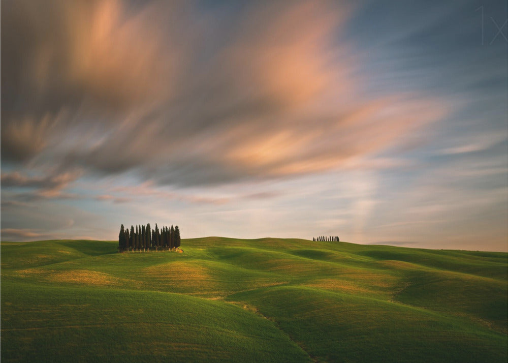 Artwork Fields...48X36inches- Unframed