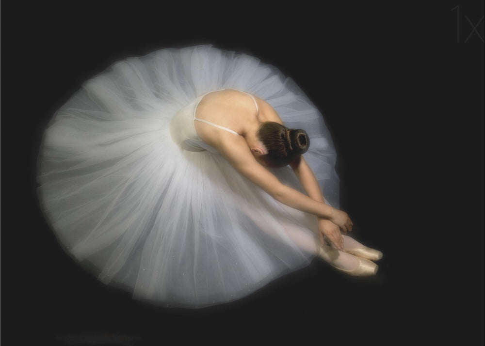 Artwork Elegance. Dance48X36inches- Unframed