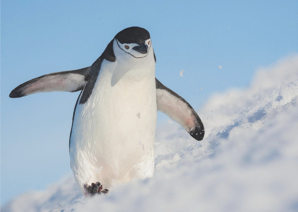 Wall art Running up that hill-48X36inches-Gallery Wrapped (Ready to Hang)