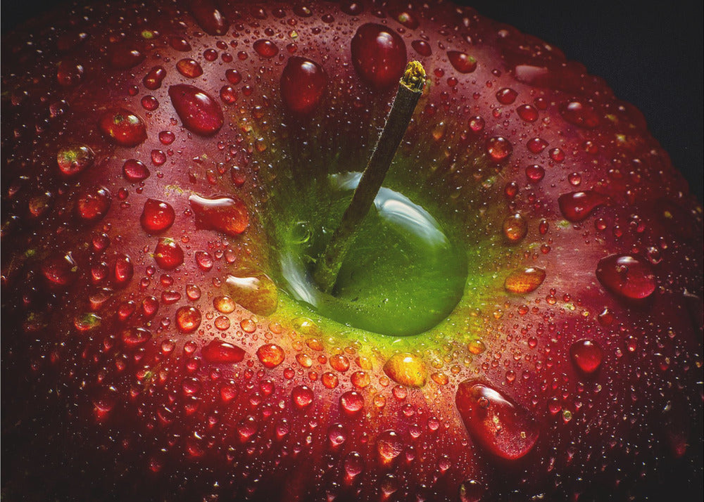 Artwork Red Apple. Food48X36inches- Unframed