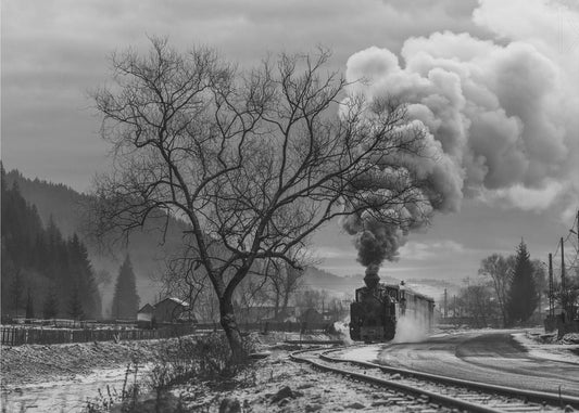 Artwork- Mocanita Hutulca-20X16inches-In Black Floating Frame