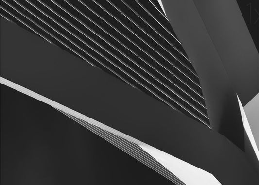 Artwork- Abstraction of a swan-20X16inches-In Black Floating Frame