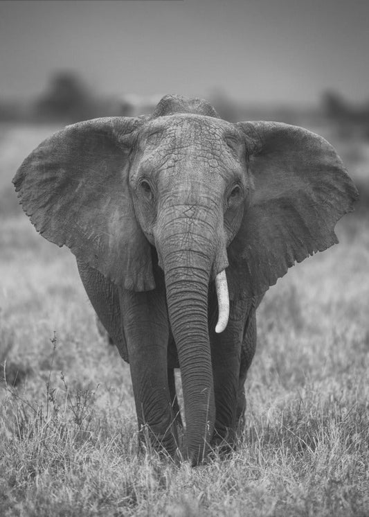 SINGULARITY Wall Artwork In Black Floating Frame