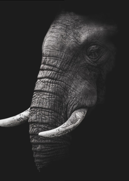 Portrait Wall Artwork In Black Floating Frame