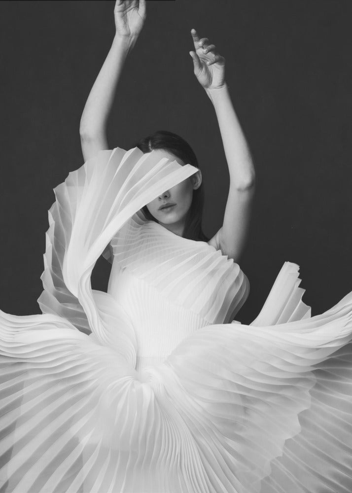 Amadeus Wall Artwork In Black Floating Frame