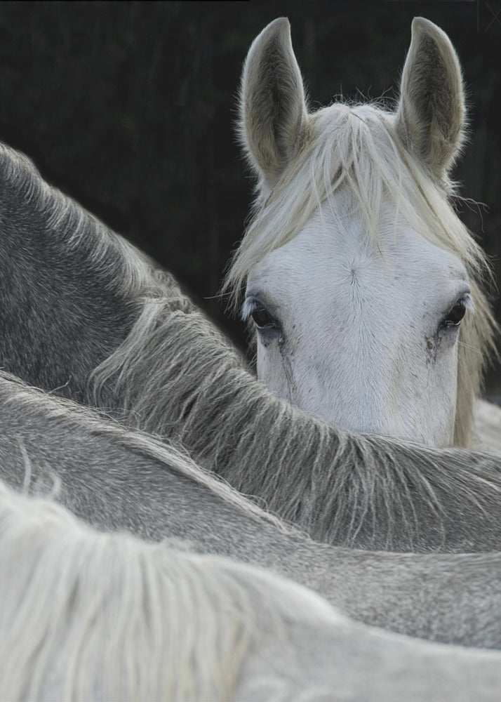 Look Wall Artwork Gallery Wrapped (Ready to Hang)