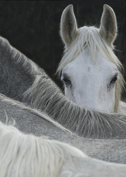Look Wall Artwork Gallery Wrapped (Ready to Hang)