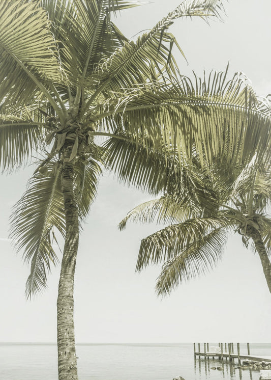 FLORIDA Heavenly Place | Vintage Wall Artwork In Black Floating Frame