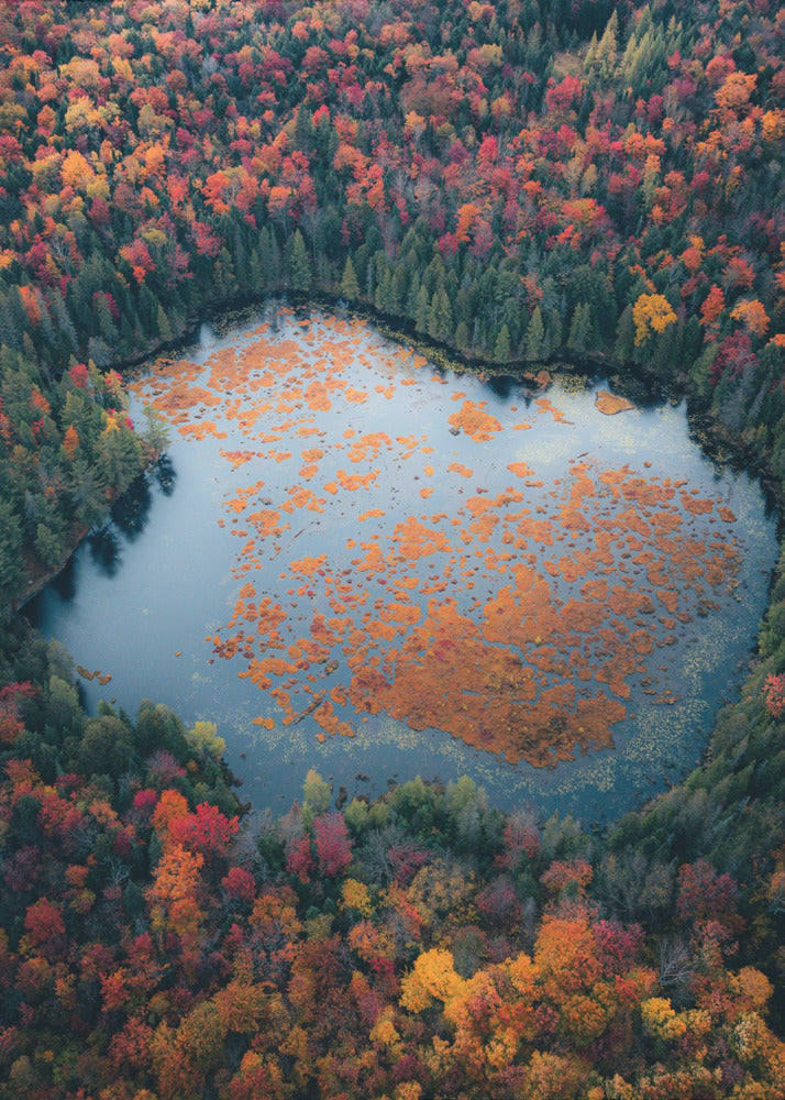 Wall art Autumn at the Lake-24X36inches-In Black Floating Frame