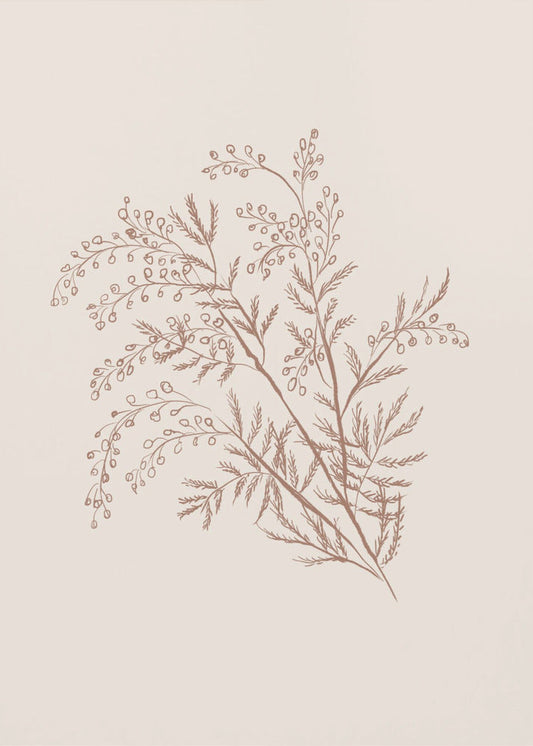 Artwork- Acacia Botanical Branch-16X20inches-In Black Floating Frame