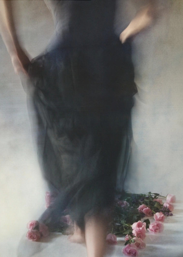 Four Dozen Roses ll Wall Artwork In Black Floating Frame