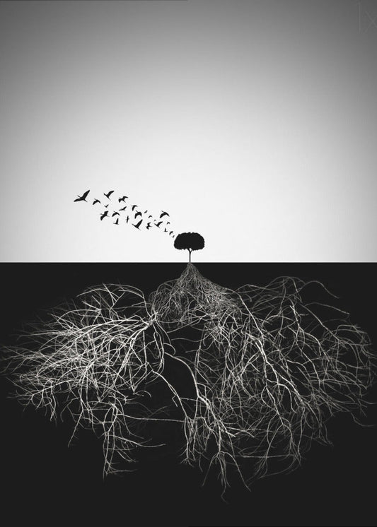 Artwork Do not judge according to appearance24X36inches- Black Frame