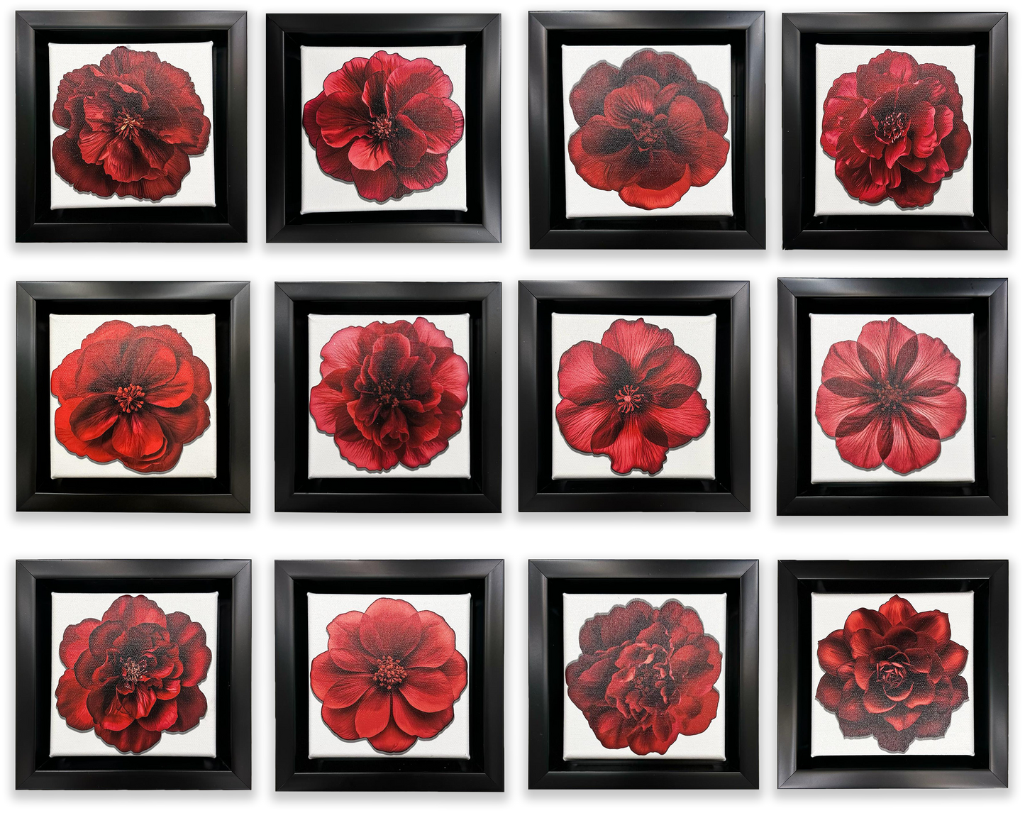Set of 12 Mini Framed Fine Art Canvases