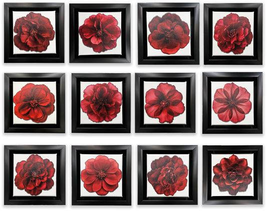 Set of 12 Mini Framed Fine Art Canvases