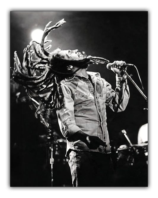 sample wall art bob marley