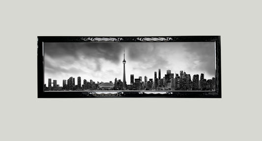Toronto and CN tower in Black and White- Cities Skyline
