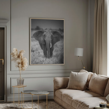  SINGULARITY Wall Artwork 0
