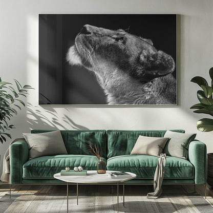  Looking Up Wall Artwork 0