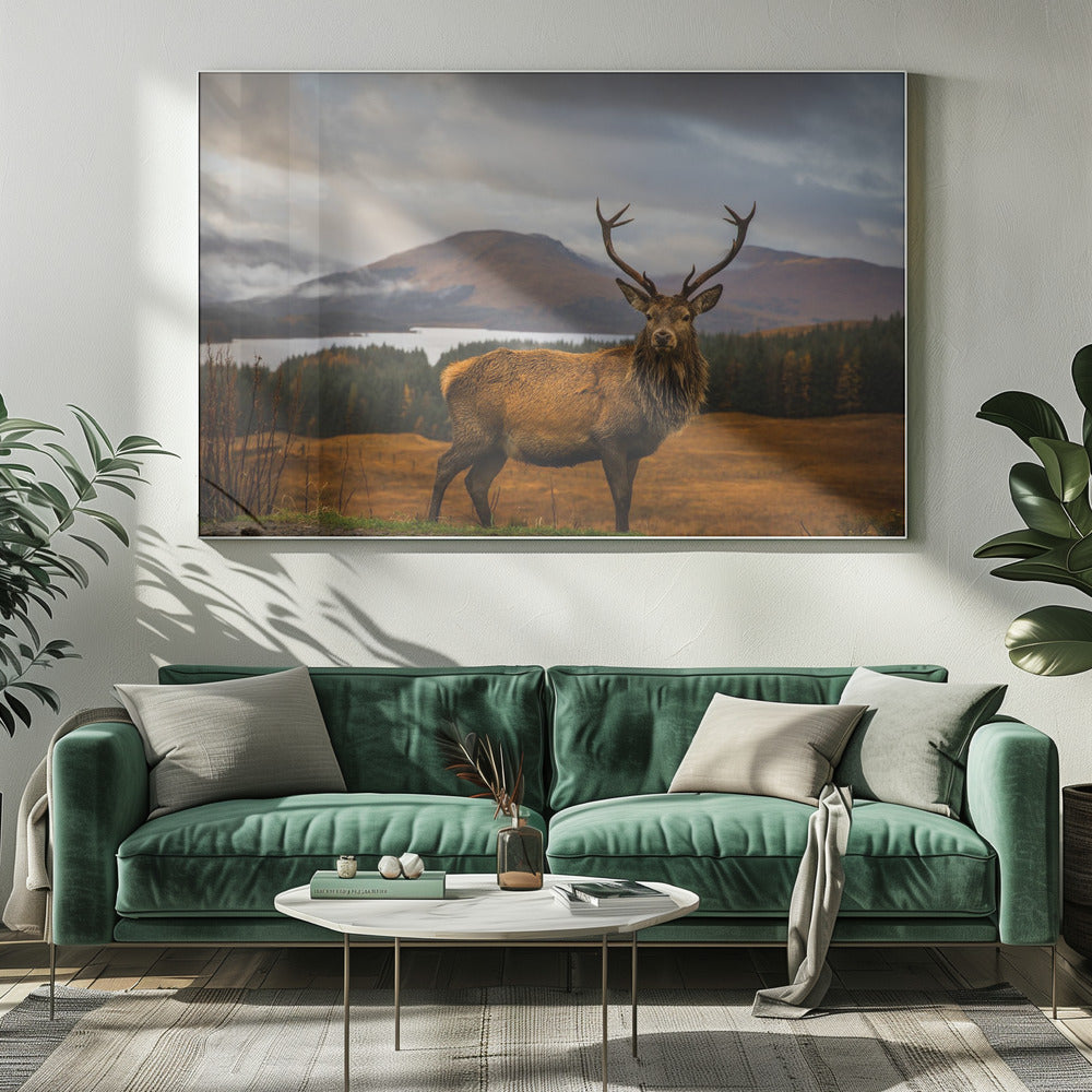  Scottish Stag Wall Artwork 0
