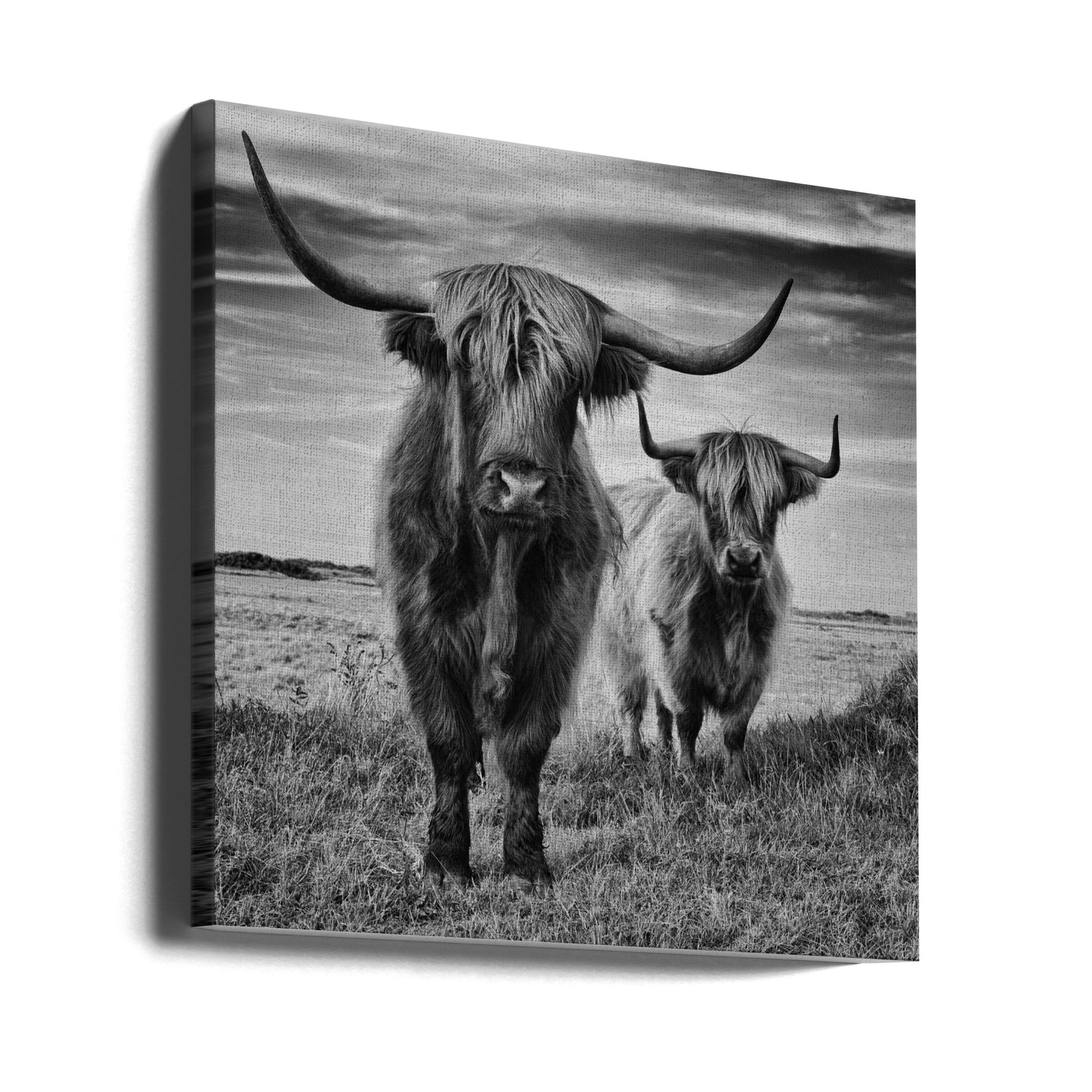  Highlands Wall Artwork 0