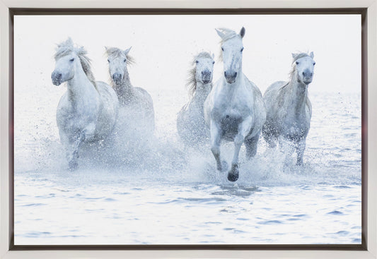 Horses on the Run in White Floating Frame