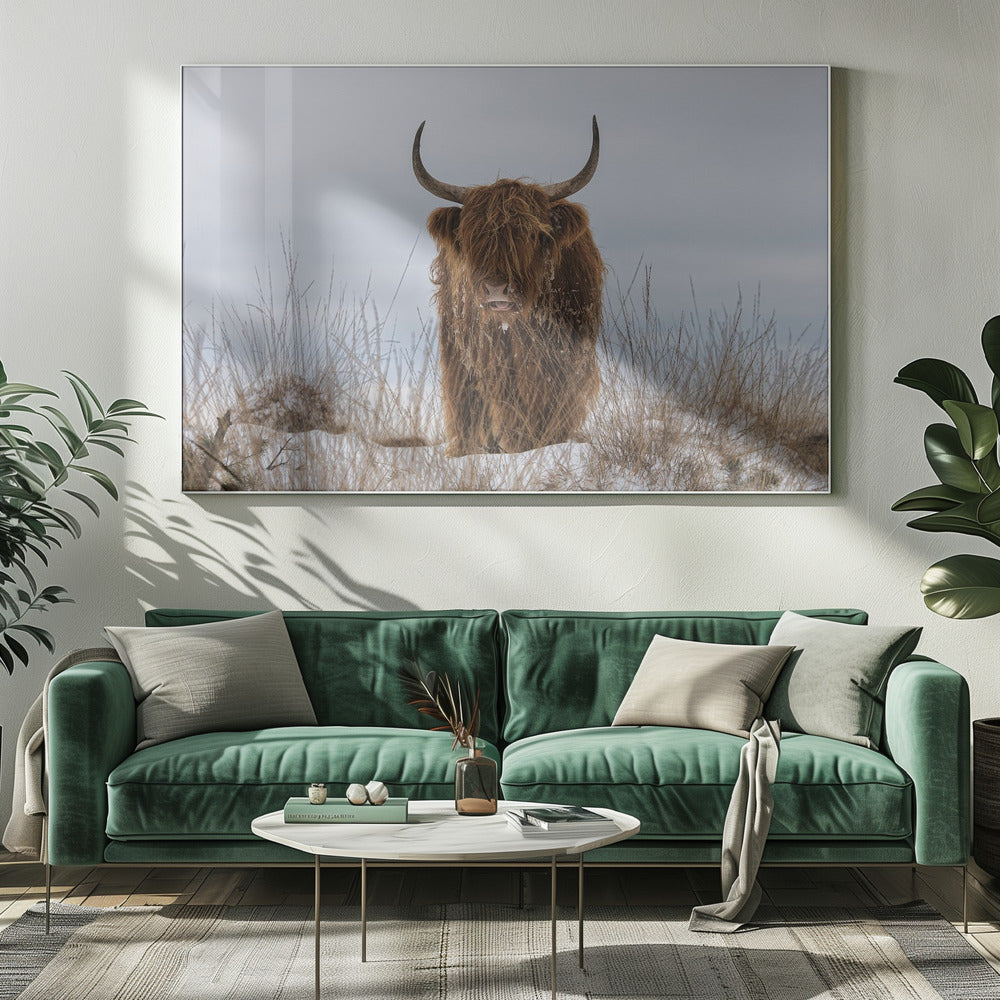  Highlander in Snow Wall Artwork 0