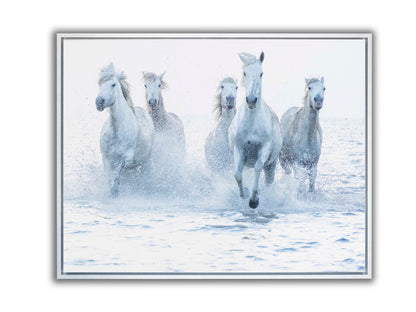 Horses on the Run