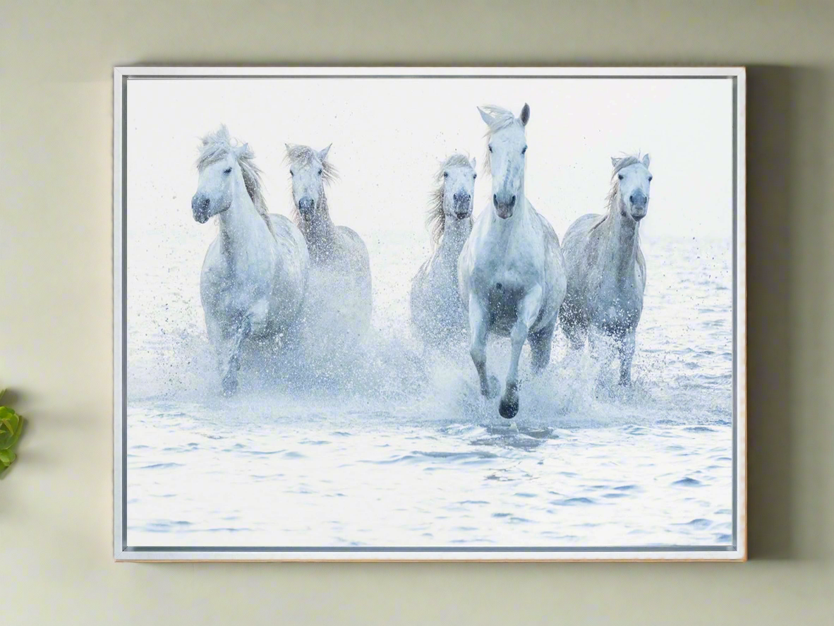 Horses on the Run