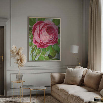  Pink Rose, Mrs John Laing Lithograph Wall Artwork 0