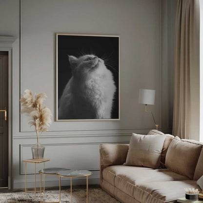 Wall art White in Black