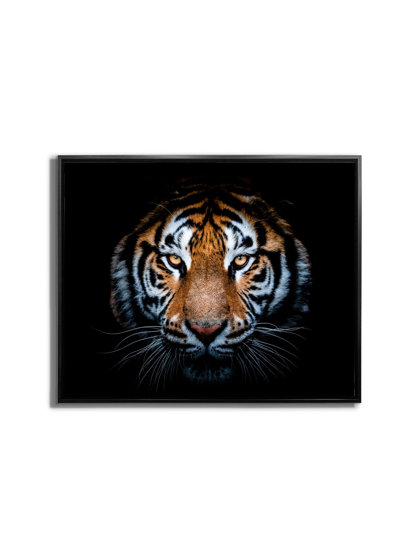 Tiger Head-Wildlife Canvas Art - Hand applied gold varnish