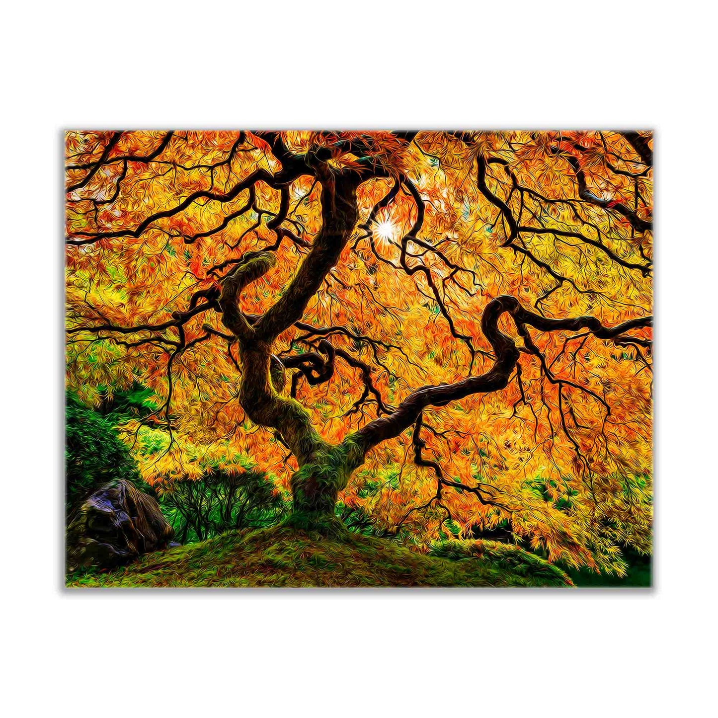 Canvas Print-Orange Tree-Nature Artwork