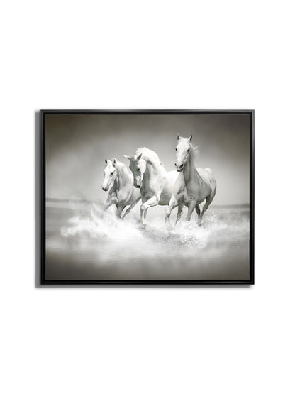 Black and White Stallions - Animal Print Canvas-Fine Art