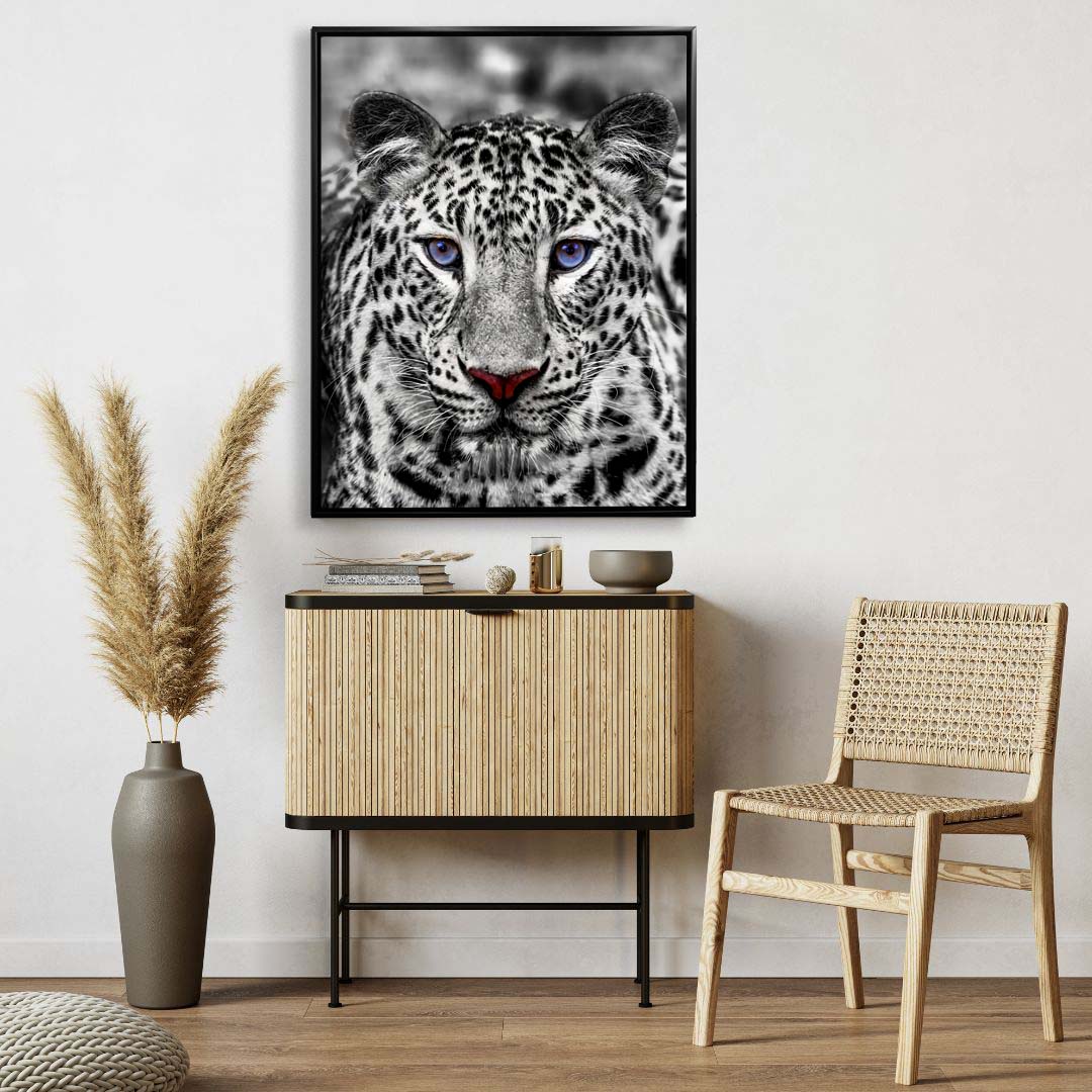 Canvas print-Blue Eyed White Tiger- Wildlife art