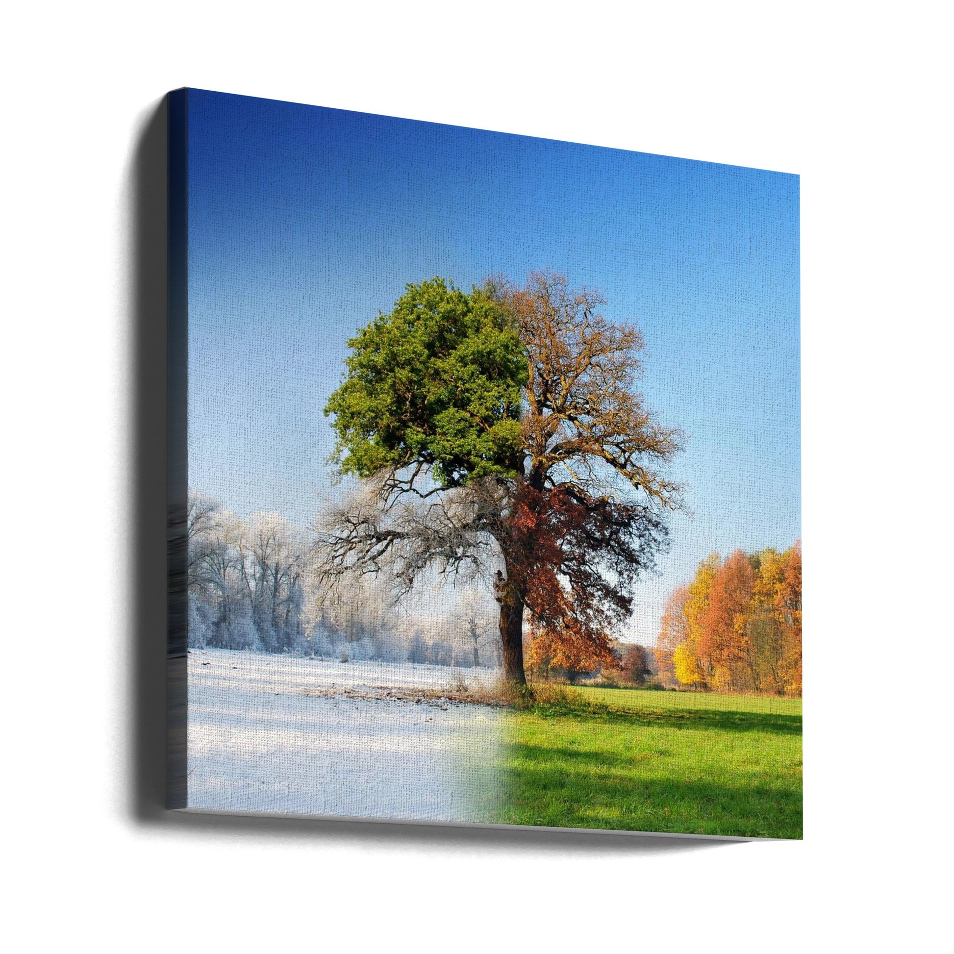  4 seasons Wall Artwork 0