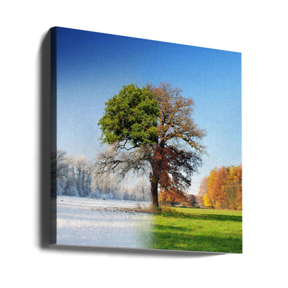  4 seasons Wall Artwork 0