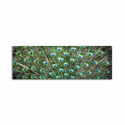 Large Canvas Wall art-Peacock Feathers-Nature Artwork