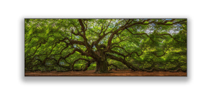 Angel Tree 72" x 24" Fine Art Canvas Print