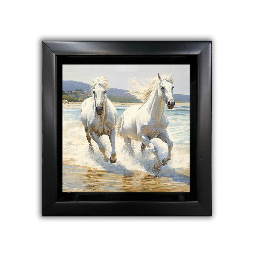Set of 12 Framed Canvases