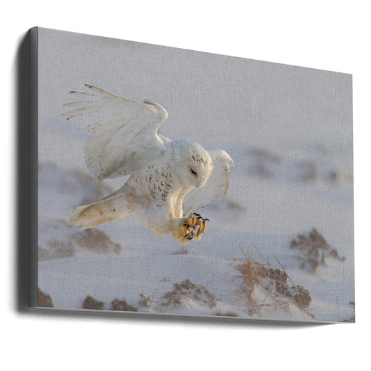 Wall art Landing-36X24inches-Gallery Wrapped (Ready to Hang)