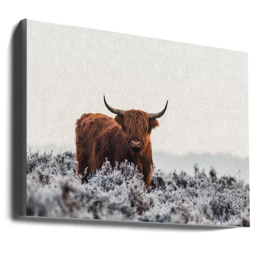  Highlander Wall Artwork Gallery Wrapped (Ready to Hang)