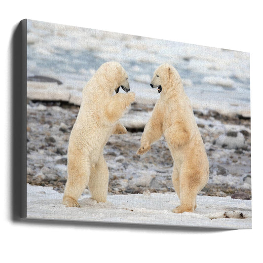 Wall art Fight !-36X24inches-Gallery Wrapped (Ready to Hang)