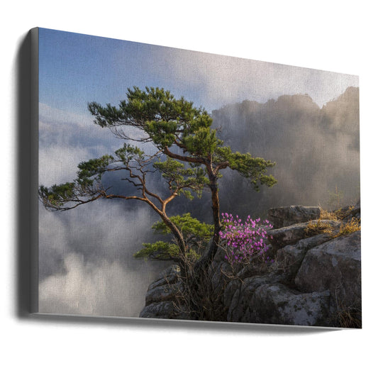  Dream dancer Wall Artwork Gallery Wrapped (Ready to Hang)