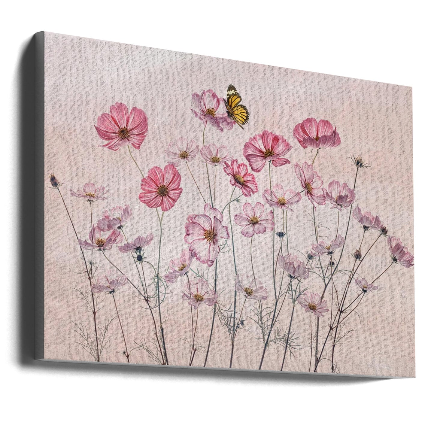  Cosmos and Butterfly Wall Artwork Gallery Wrapped (Ready to Hang)