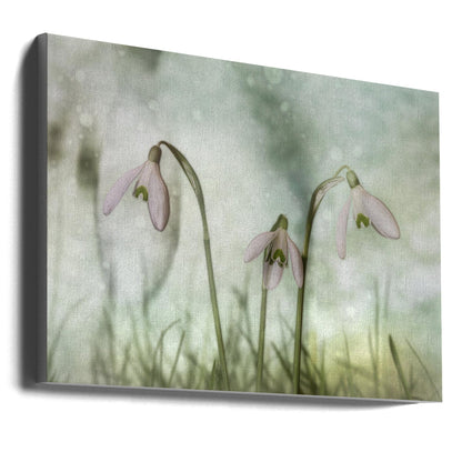  Trio 2 Wall Artwork In Black Floating Frame