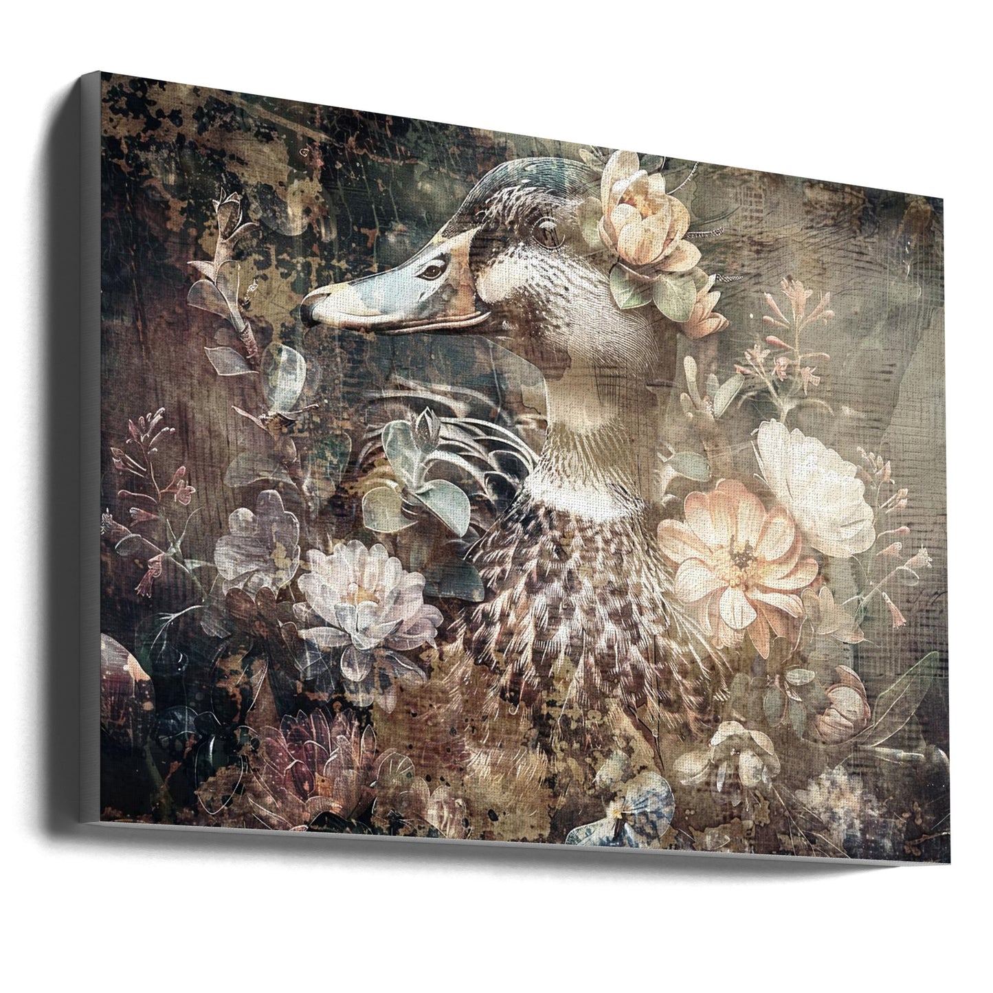  Duck Animal Vintage Art Illustration Wallart 06 Wall Artwork Gallery Wrapped (Ready to Hang)