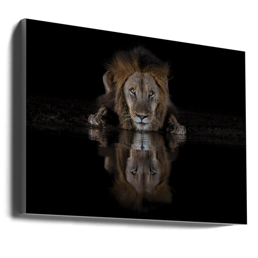 Wall art A Lion at The Night