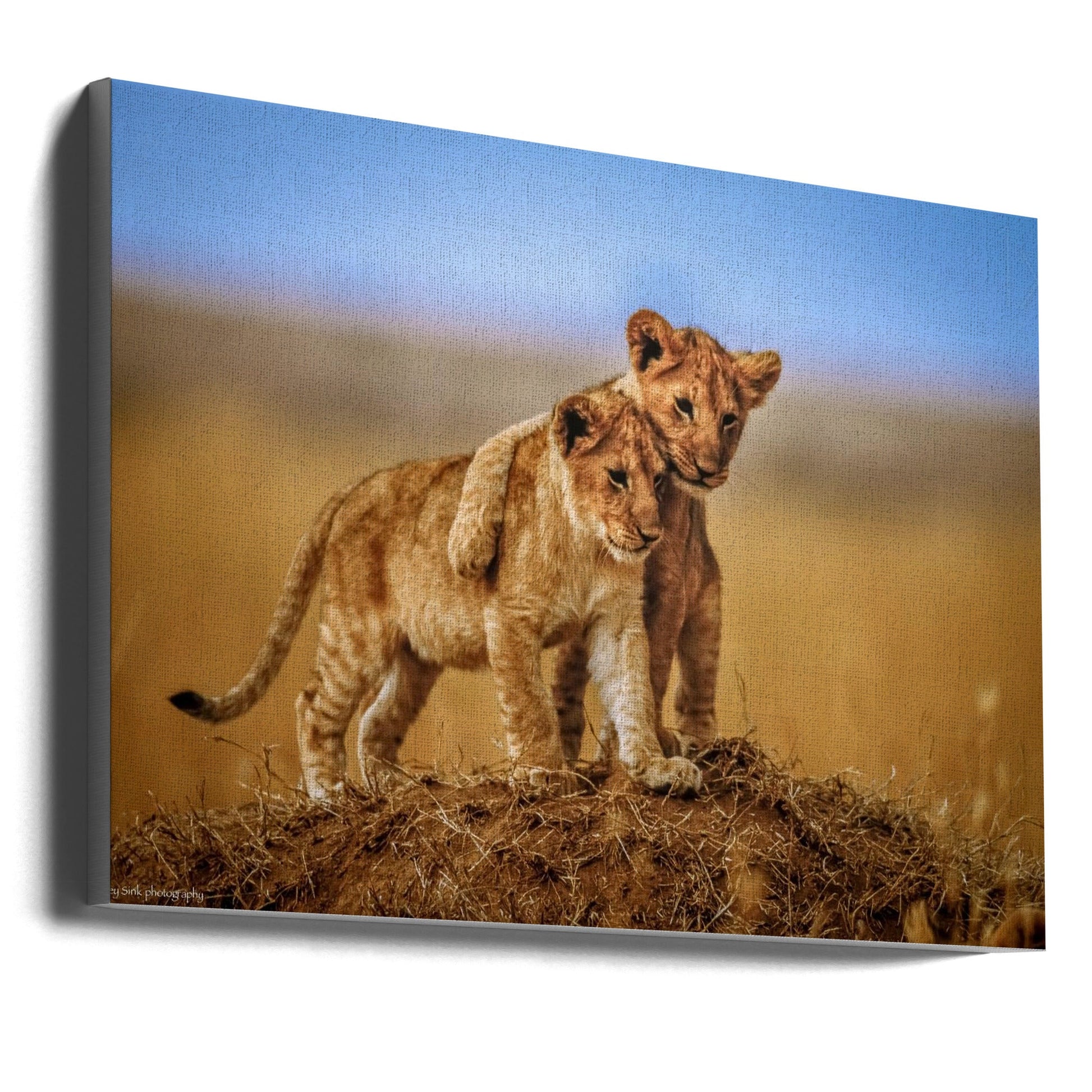  Brothers for Life Wall Artwork Gallery Wrapped (Ready to Hang)